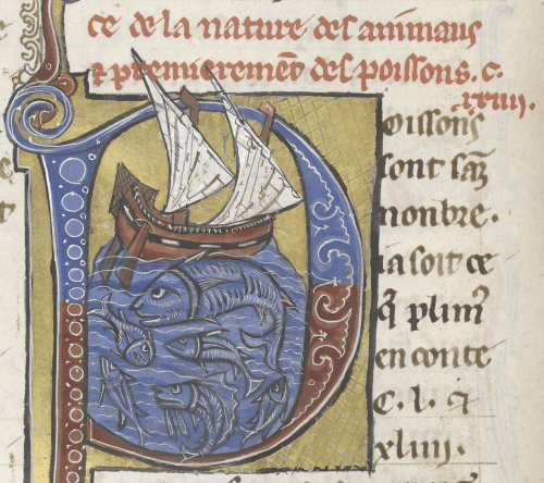 A medieval manuscript image of a ship with sails, traveling over a sea filled with fish